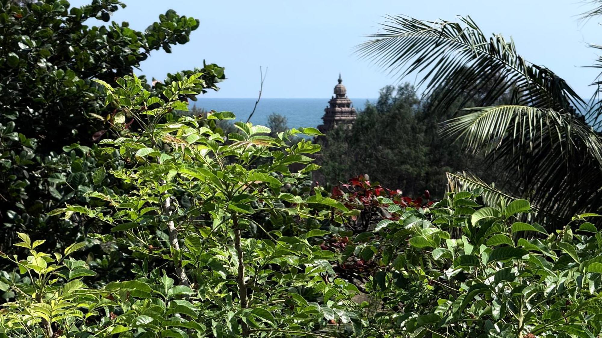 Sri Murugan Beach Paradise Hotel Mahabalipuram Εξωτερικό φωτογραφία